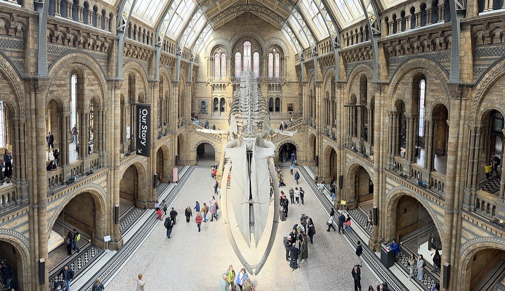Natural History Museum and South Kensington