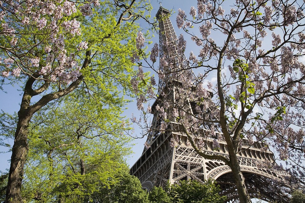 Eiffel Tower and Champ de Mars