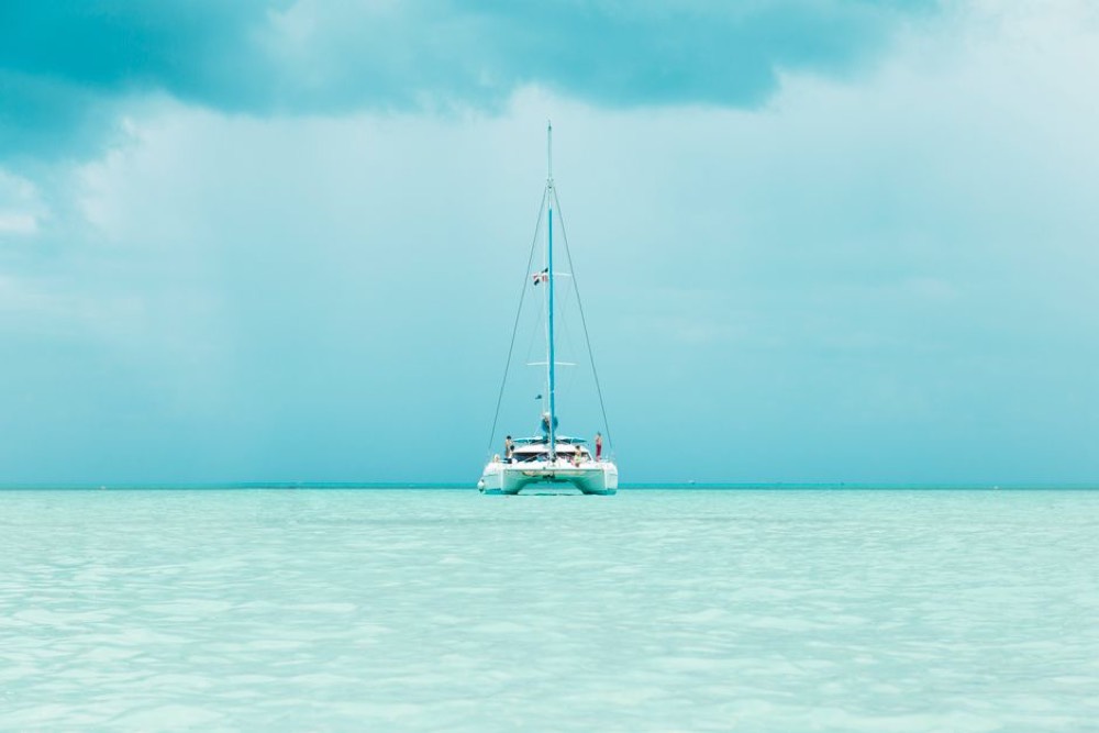 Catamaran and snorkel trips
