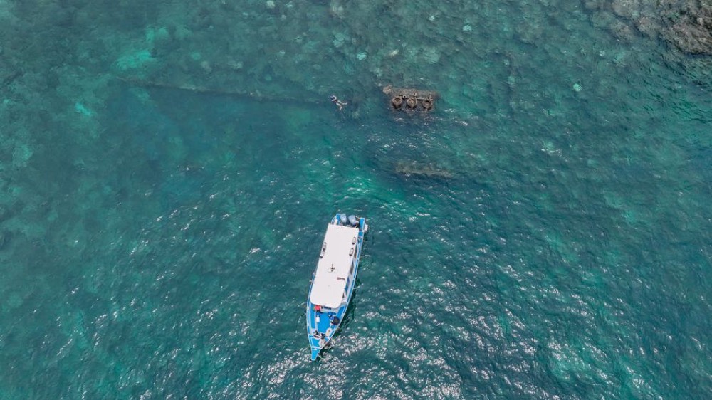 Roatan reef boat day