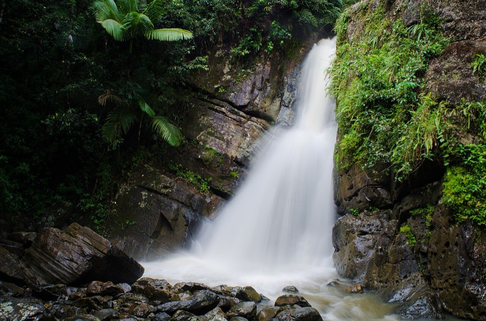 El Yunque National Forest