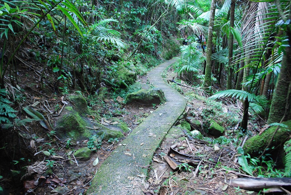 El Yunque National Forest
