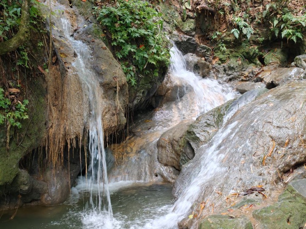 Diamond Falls Botanical Gardens