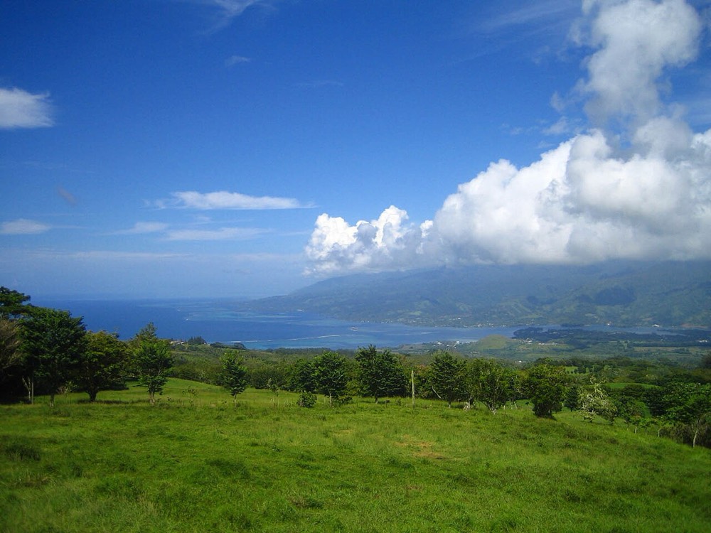Taravao